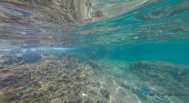 Snorkel split