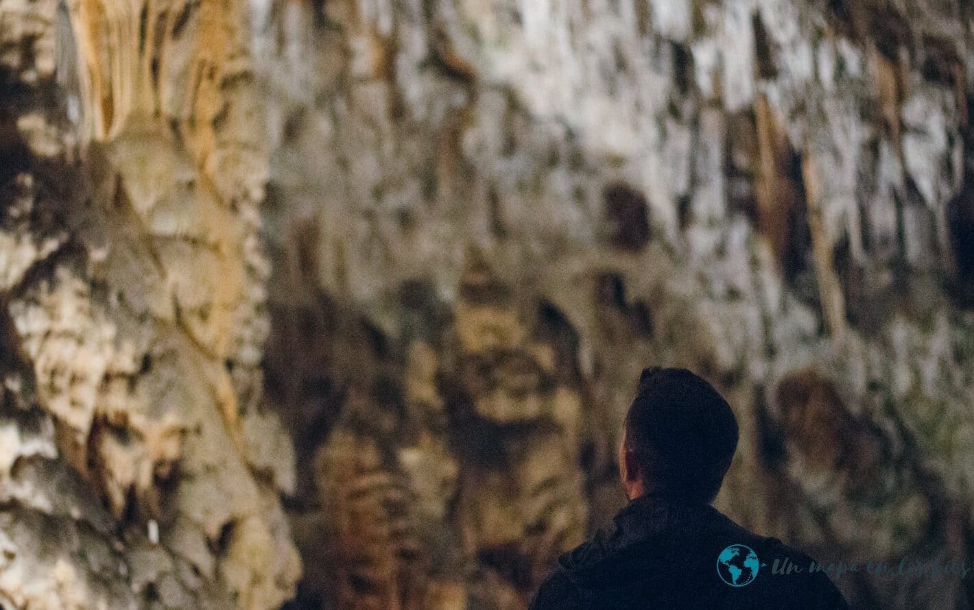 Cuevas Postojna