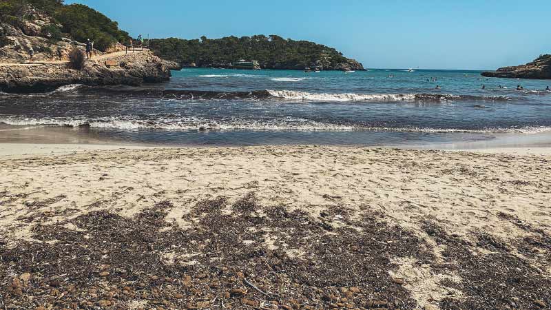 cala-samarador